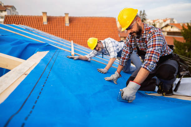 Best Roof Ventilation Installation  in Kohler, WI